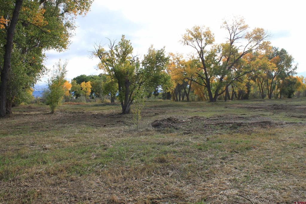 Tbd (Lot 2) 6360 Drive Montrose CO 81403