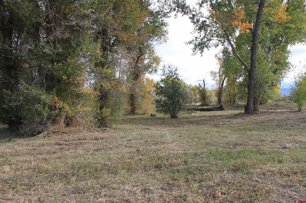 Tbd (Lot 2) 6360 Drive Montrose CO 81403