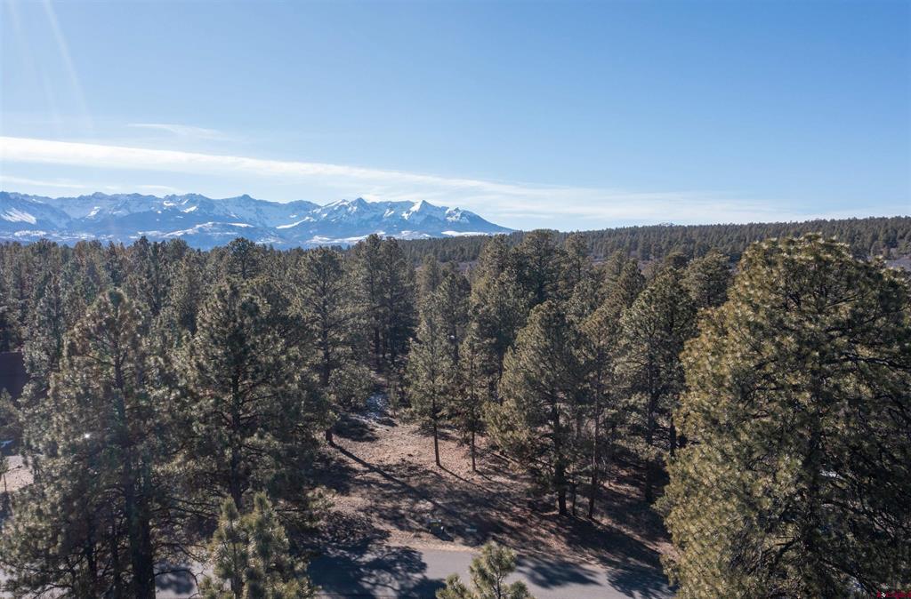 Tbd S Badger Trail Ridgway CO 81432