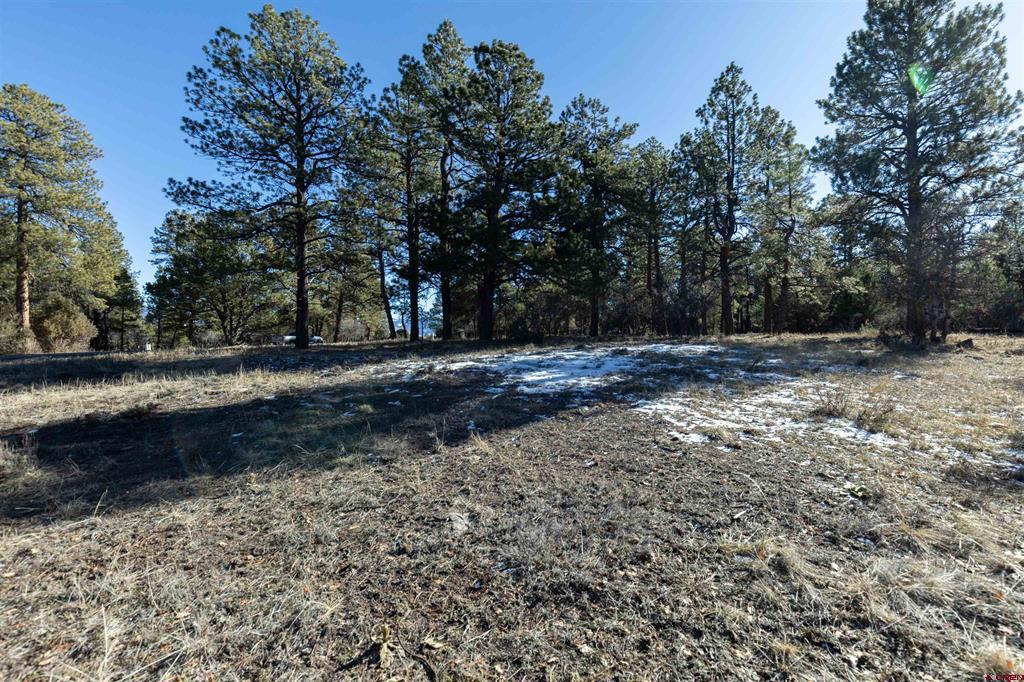 Tbd S Badger Trail Ridgway CO 81432