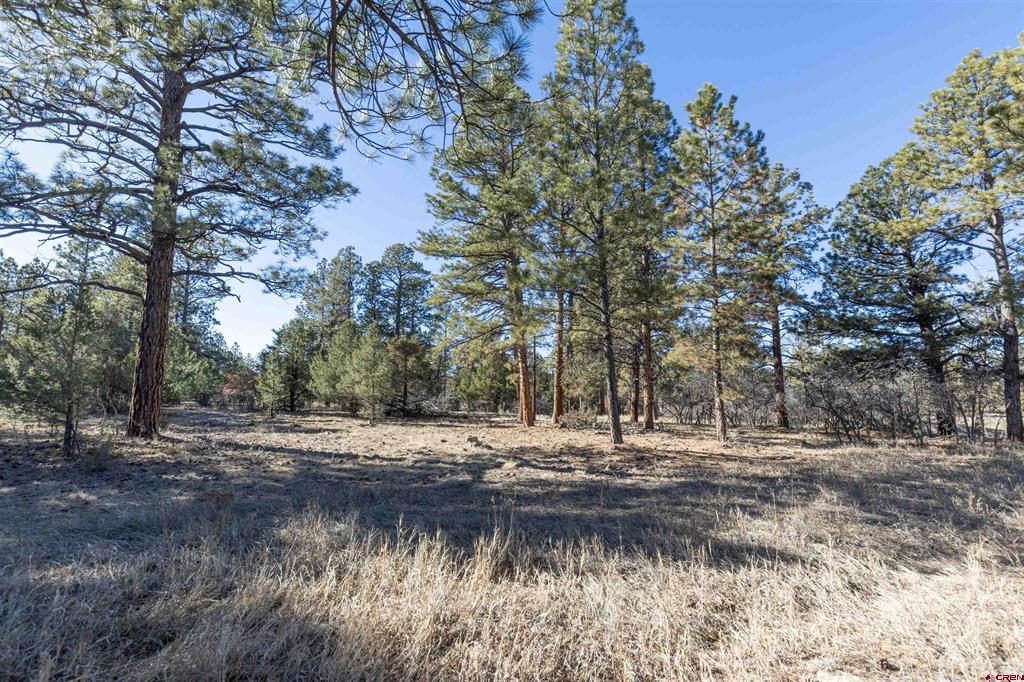Tbd S Badger Trail Ridgway CO 81432