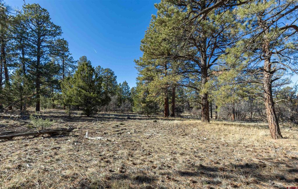 Tbd S Badger Trail Ridgway CO 81432