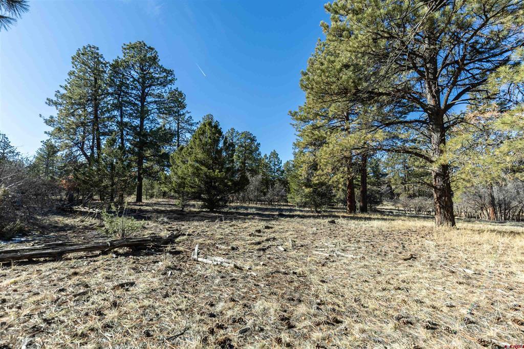 Tbd S Badger Trail Ridgway CO 81432