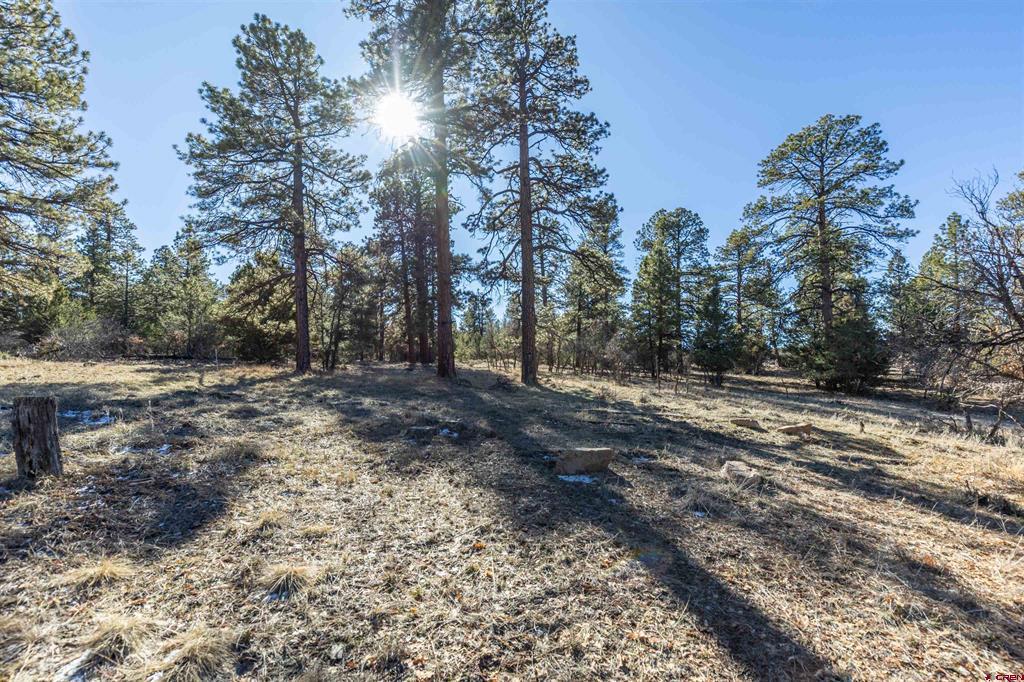 Tbd S Badger Trail Ridgway CO 81432