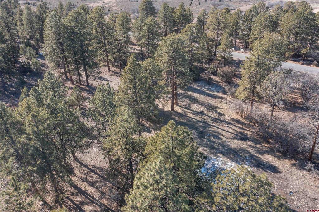 Tbd S Badger Trail Ridgway CO 81432