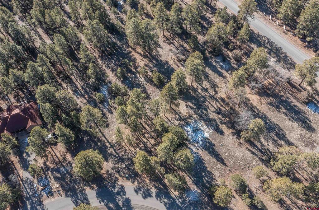 Tbd S Badger Trail Ridgway CO 81432