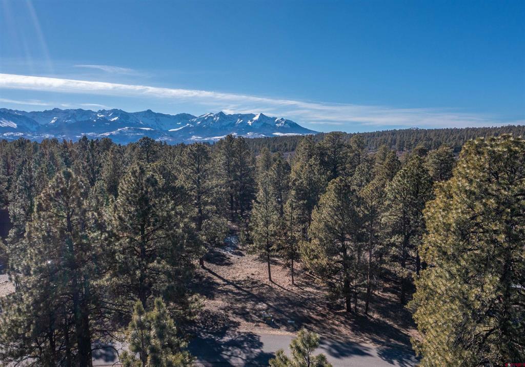 Tbd S Badger Trail Ridgway CO 81432