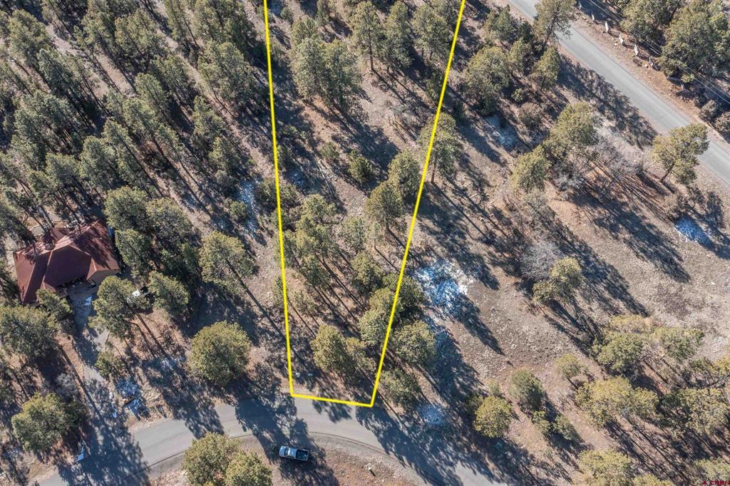 Tbd S Badger Trail Ridgway CO 81432