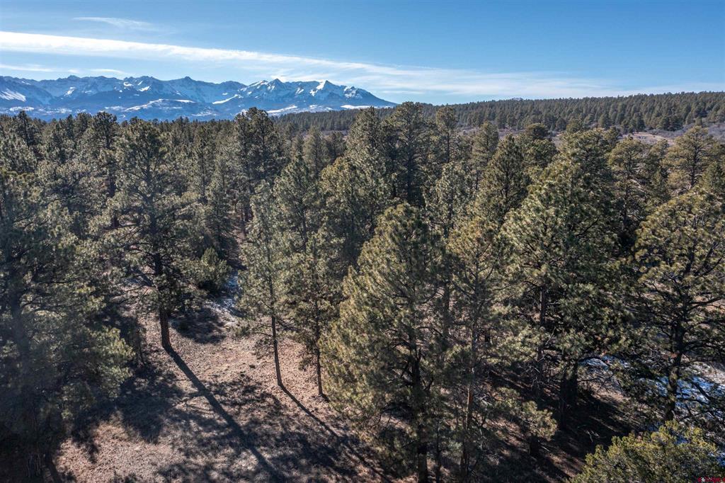 Tbd S Badger Trail Ridgway CO 81432