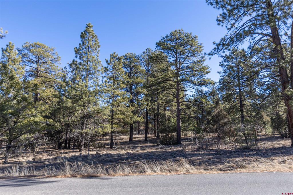 Tbd S Badger Trail Ridgway CO 81432