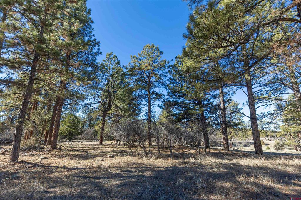 Tbd S Badger Trail Ridgway CO 81432
