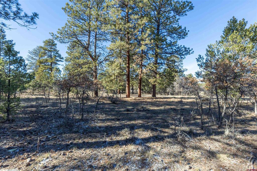 Tbd S Badger Trail Ridgway CO 81432