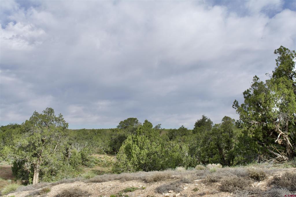 Lot 2 Road 24.3 Cortez CO 81321