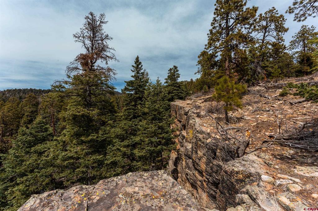 Lot 15 Taylor Ranch Road Durango CO 81301