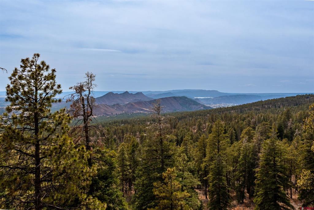 Lot 15 Taylor Ranch Road Durango CO 81301