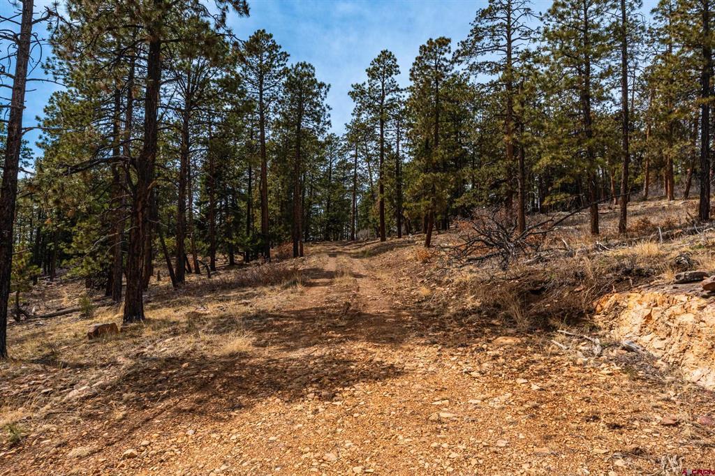Lot 15 Taylor Ranch Road Durango CO 81301