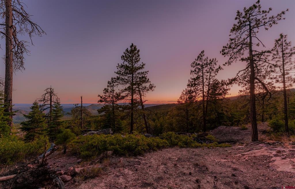 Lot 15 Taylor Ranch Road Durango CO 81301