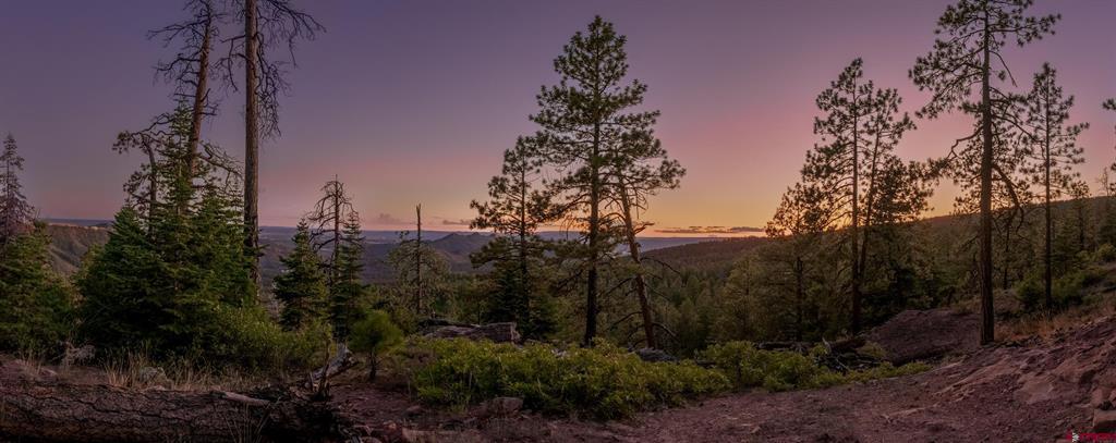 Lot 15 Taylor Ranch Road Durango CO 81301