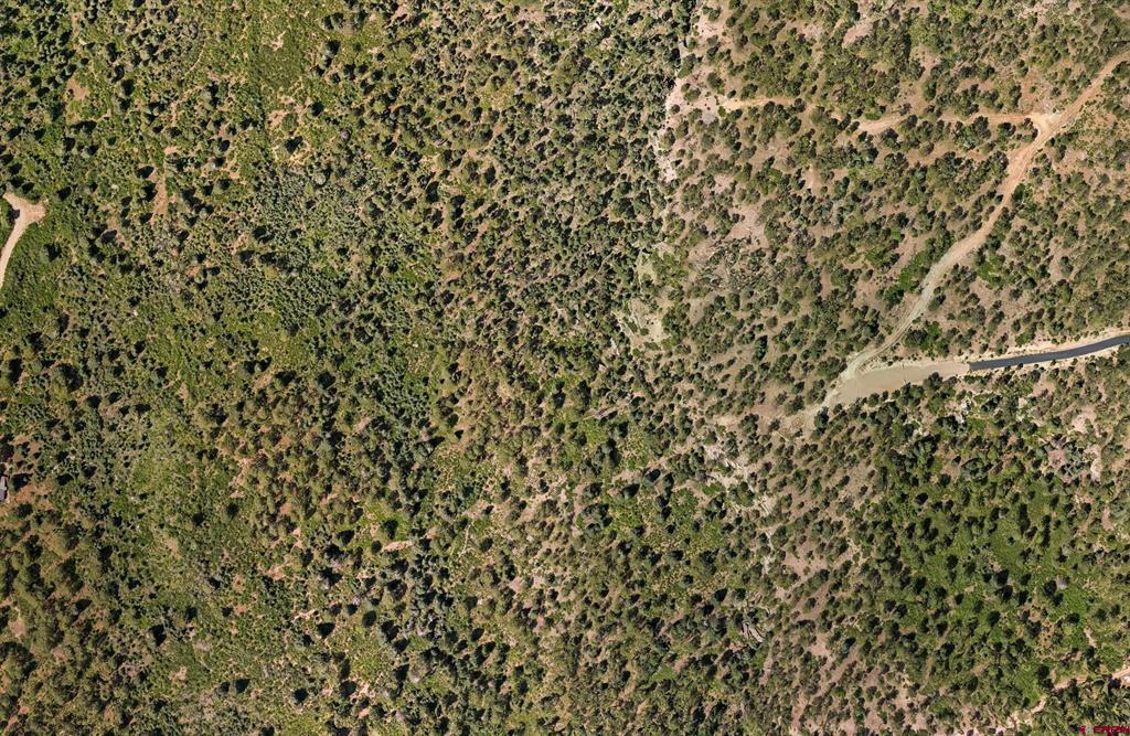 Lot 15 Taylor Ranch Road Durango CO 81301