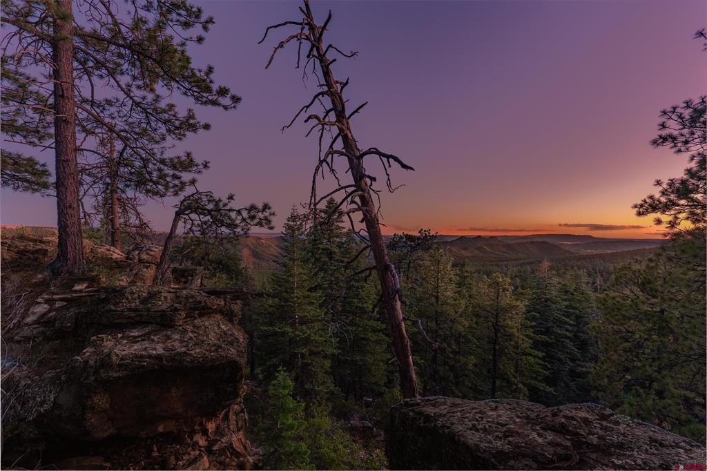 Lot 15 Taylor Ranch Road Durango CO 81301