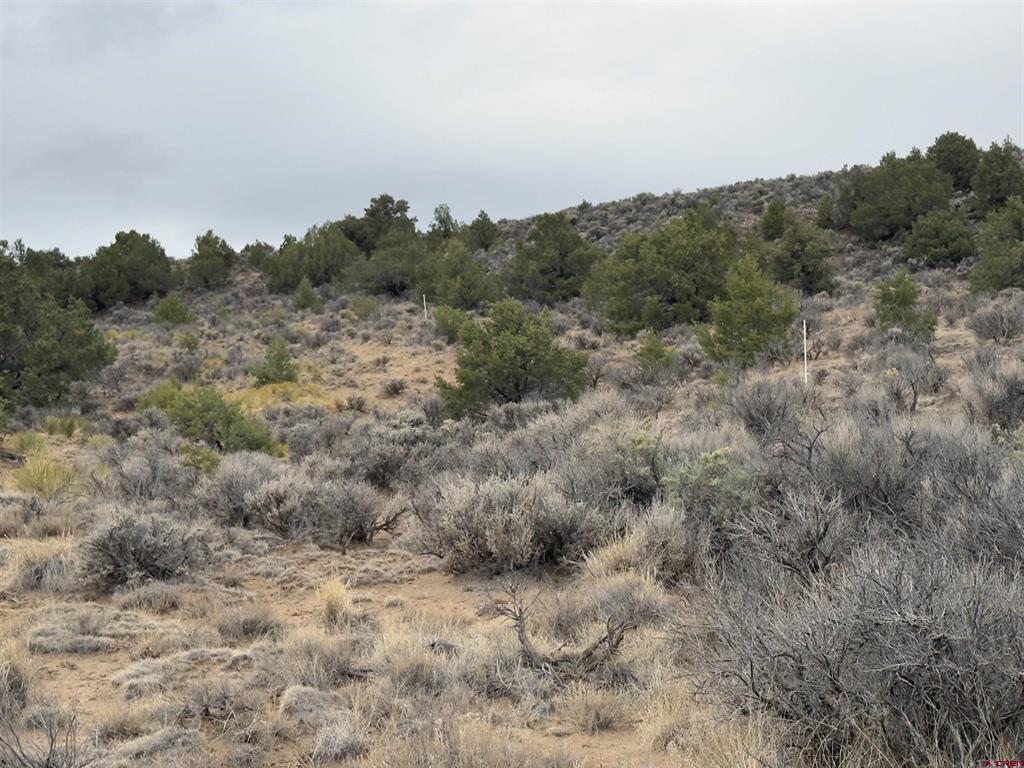 Lots 77,78 6th San Luis CO 81152