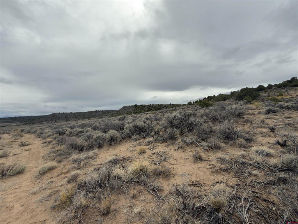 Lots 77,78 6th San Luis CO 81152