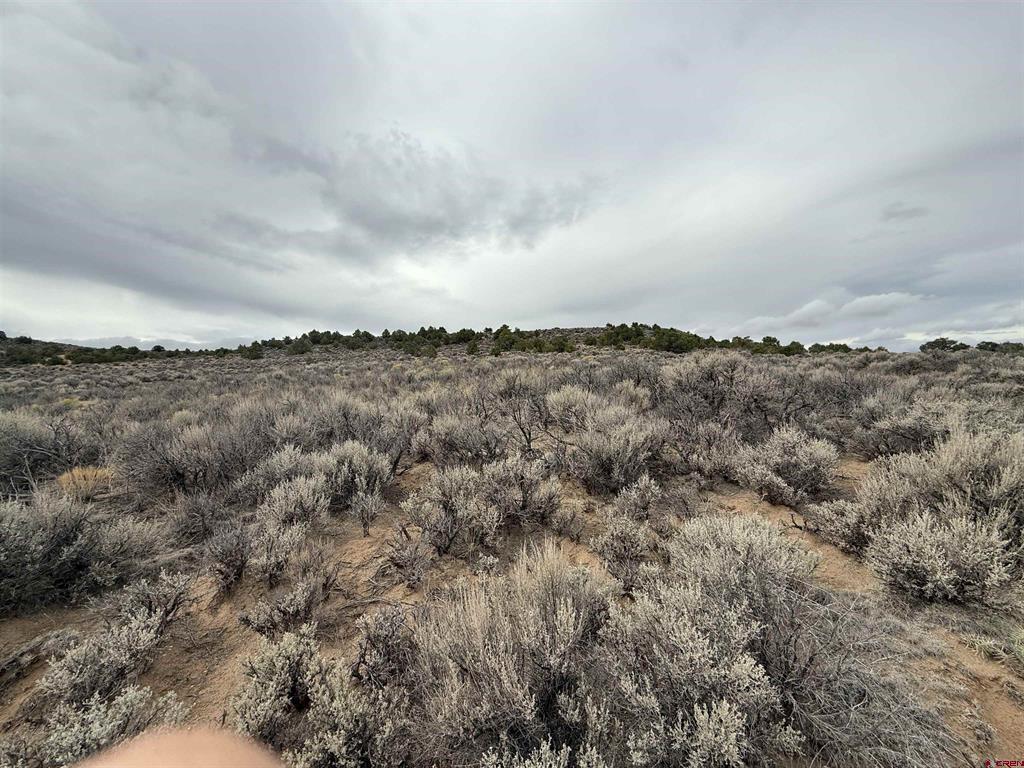 Lots 77,78 6th San Luis CO 81152