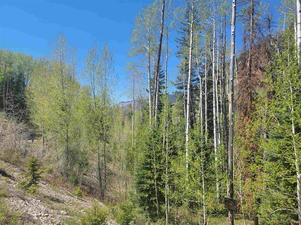 209 Engineer Drive Durango CO 81301