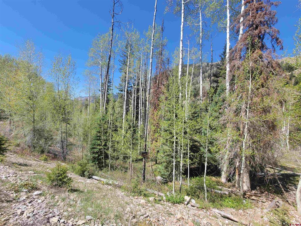 209 Engineer Drive Durango CO 81301