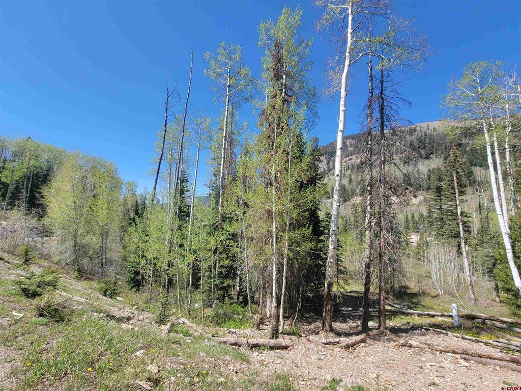 209 Engineer Drive Durango CO 81301