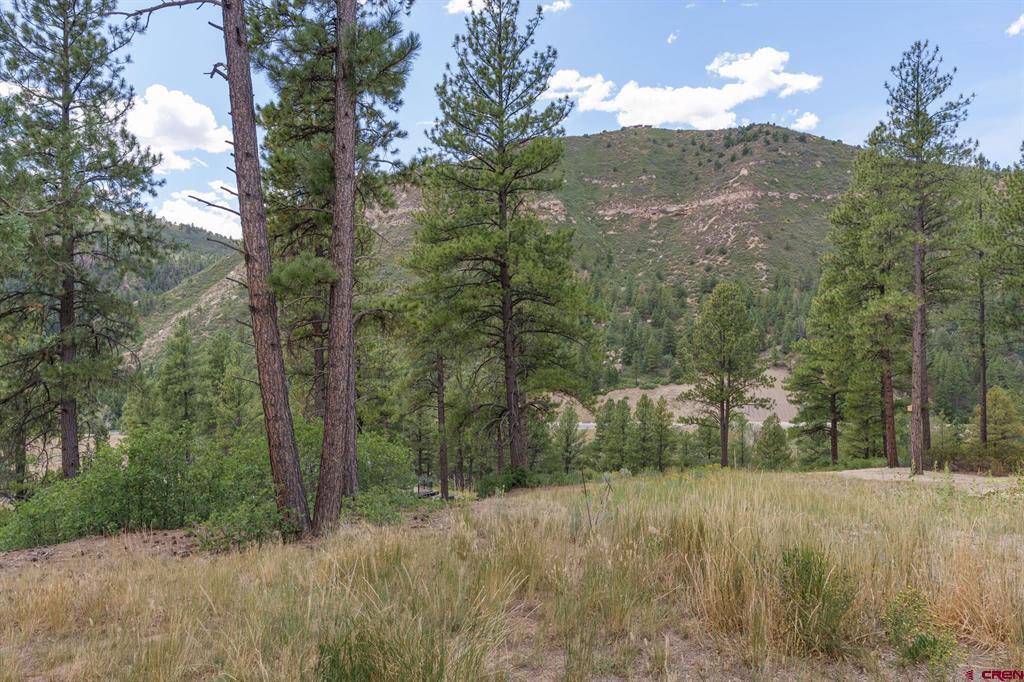 145 Bell Flower Court Durango CO 81301