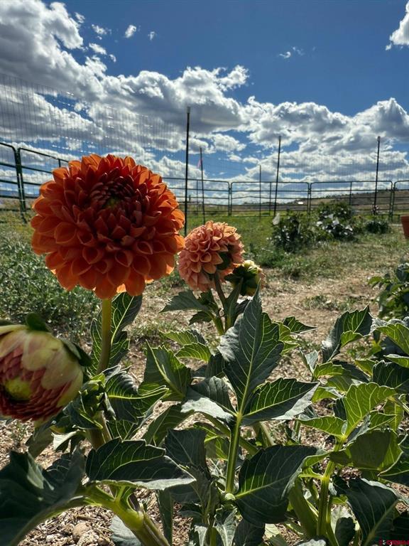 Lot 3 Solar Road Montrose CO 81403