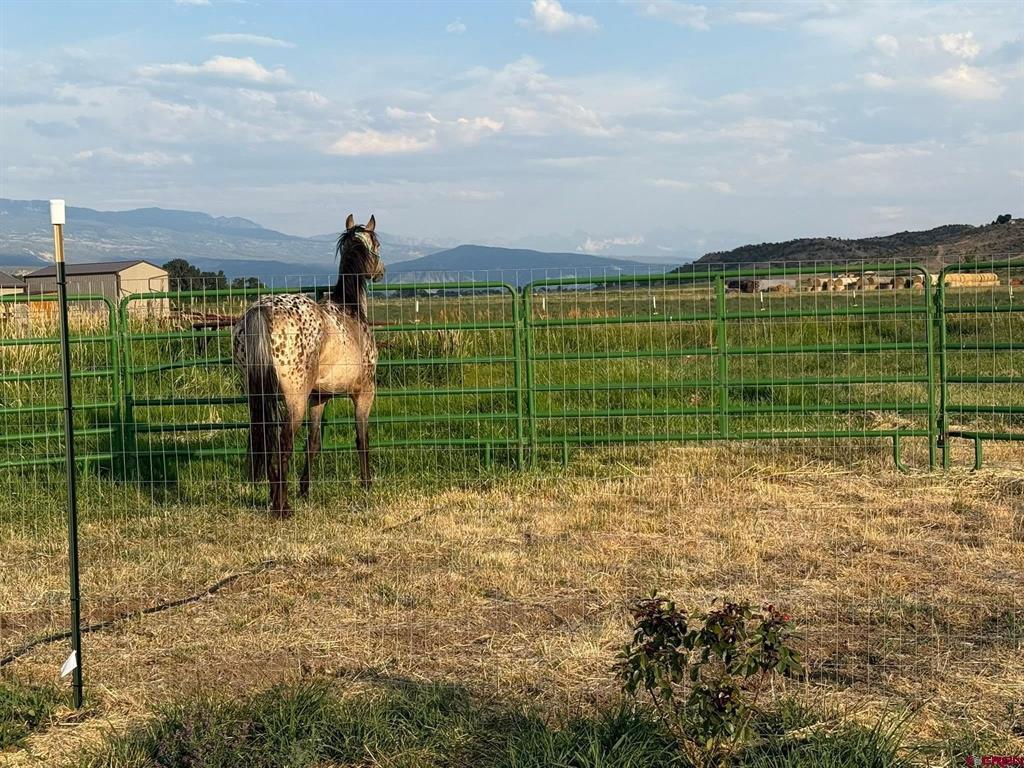 Lot 3 Solar Road Montrose CO 81403