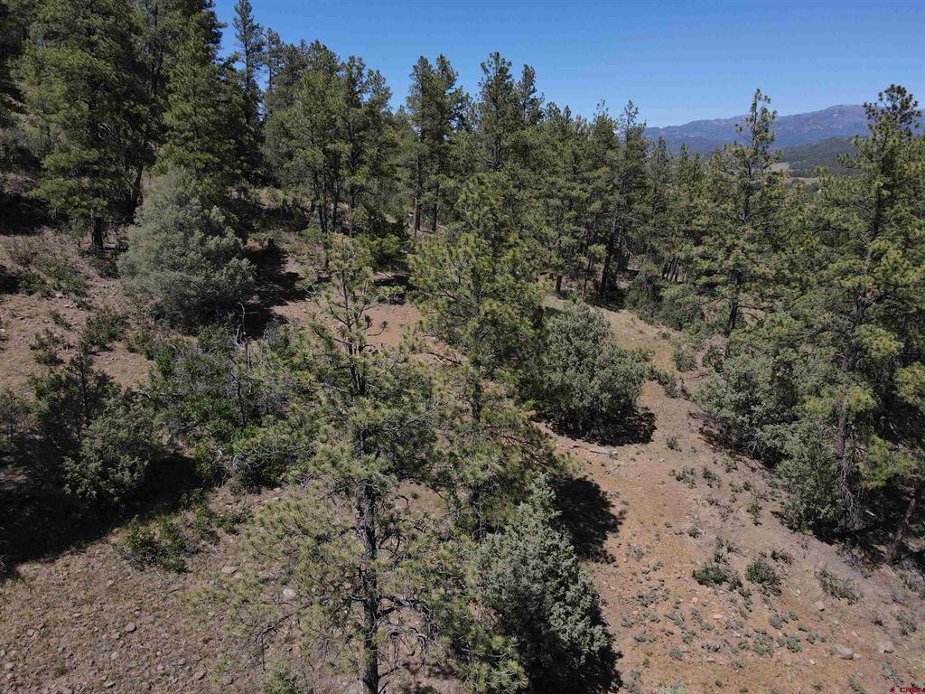 Pagosa Springs CO, 143 Boulder