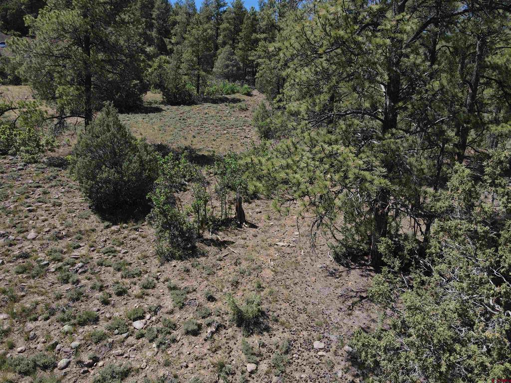 143 Boulder Drive Pagosa Springs CO 81147