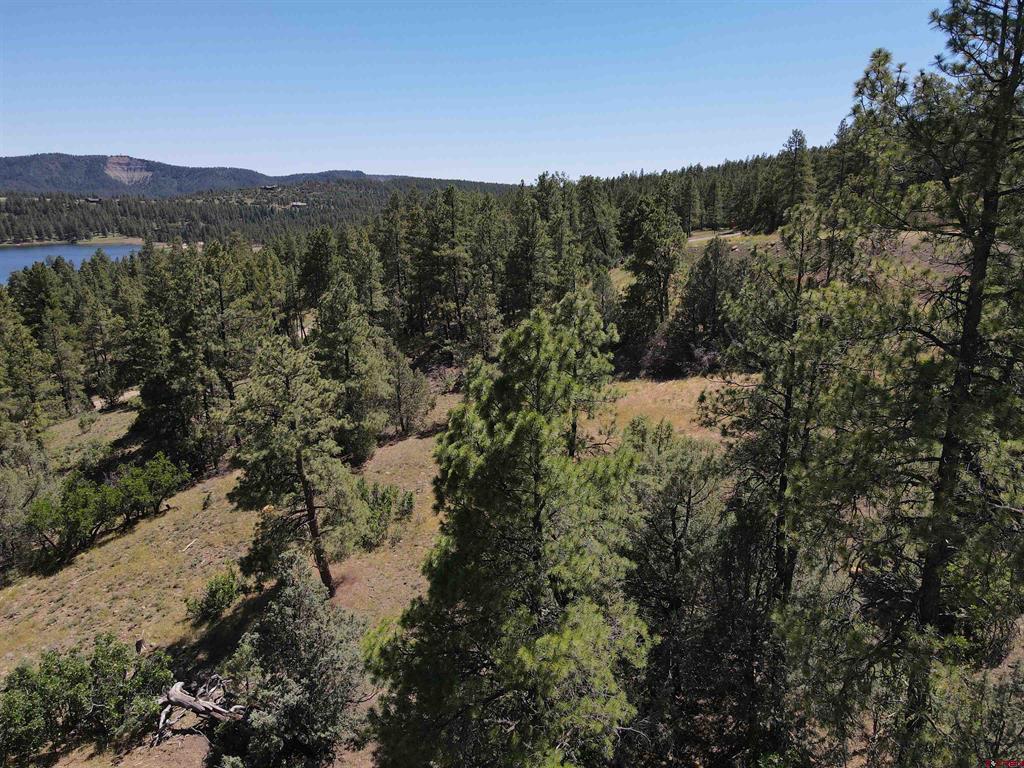 143 Boulder Drive Pagosa Springs CO 81147