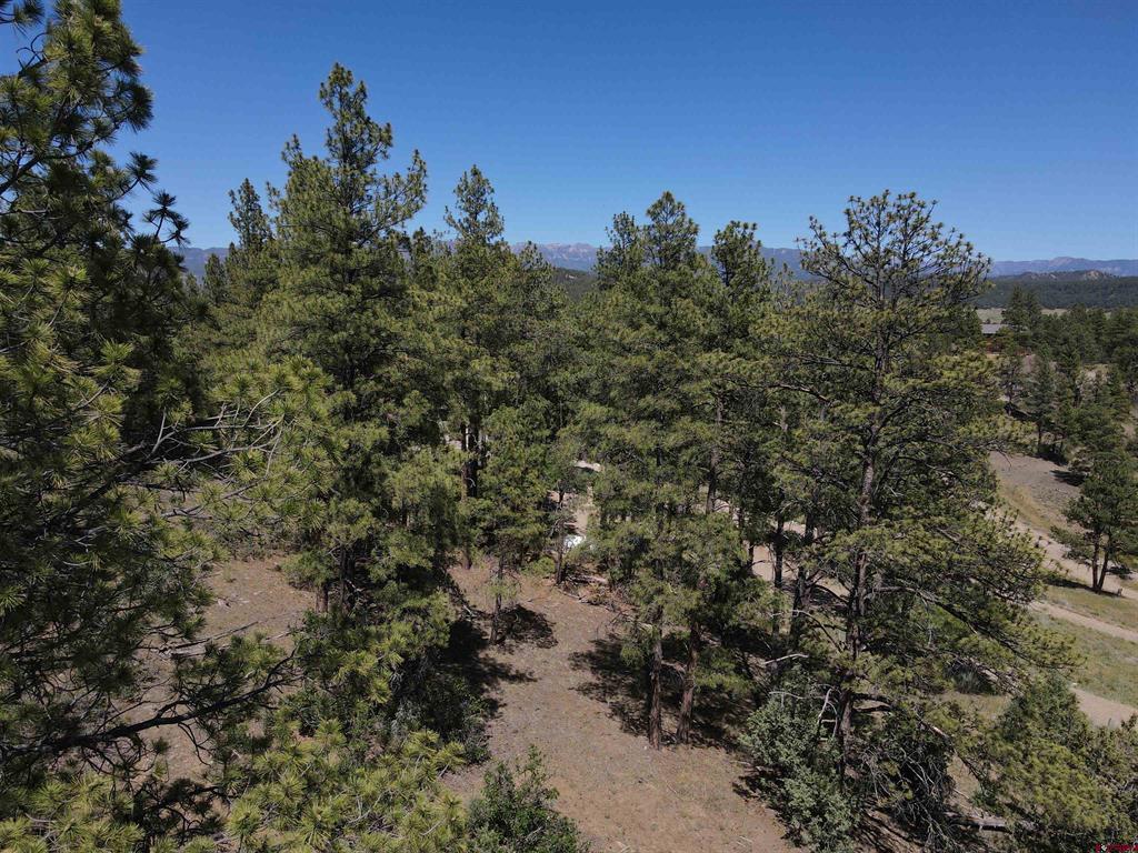 143 Boulder Drive Pagosa Springs CO 81147