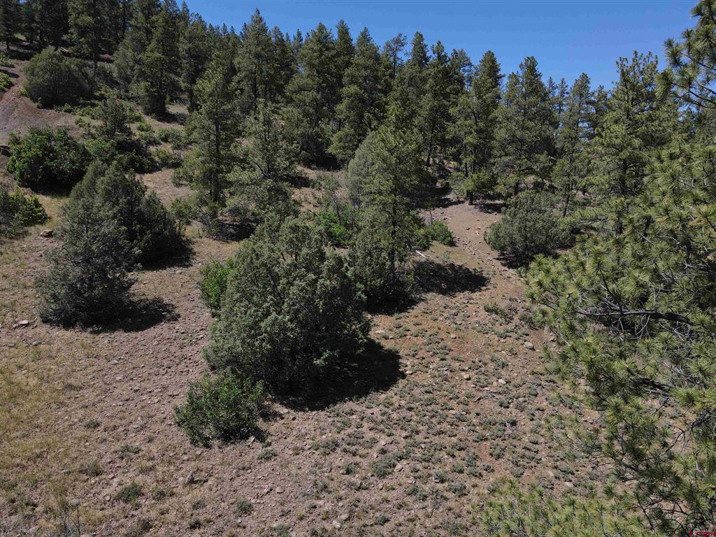 143 Boulder Drive Pagosa Springs CO 81147