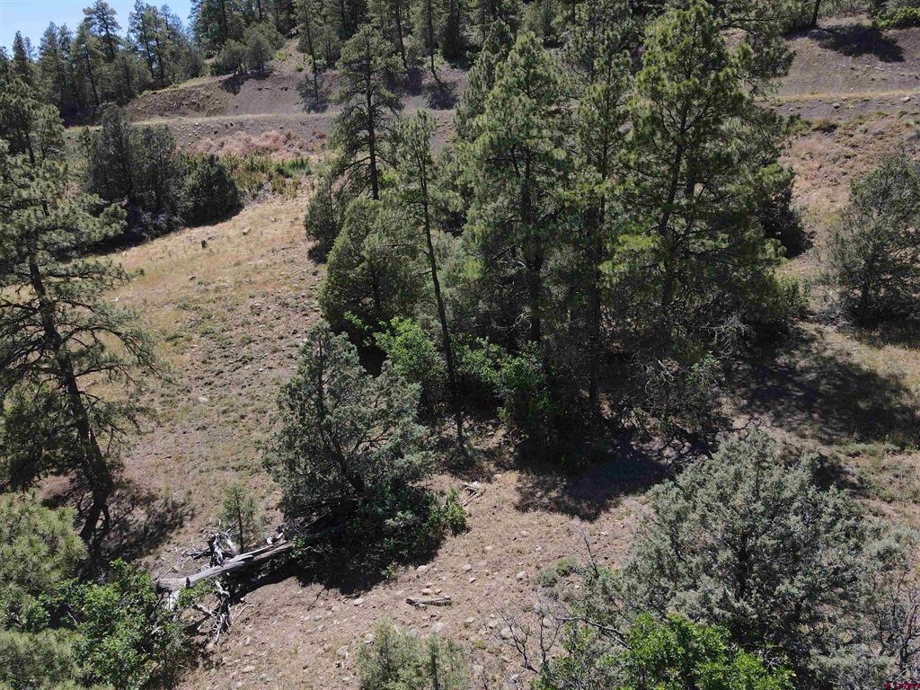 143 Boulder Drive Pagosa Springs CO 81147