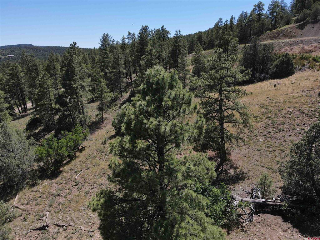 143 Boulder Drive Pagosa Springs CO 81147