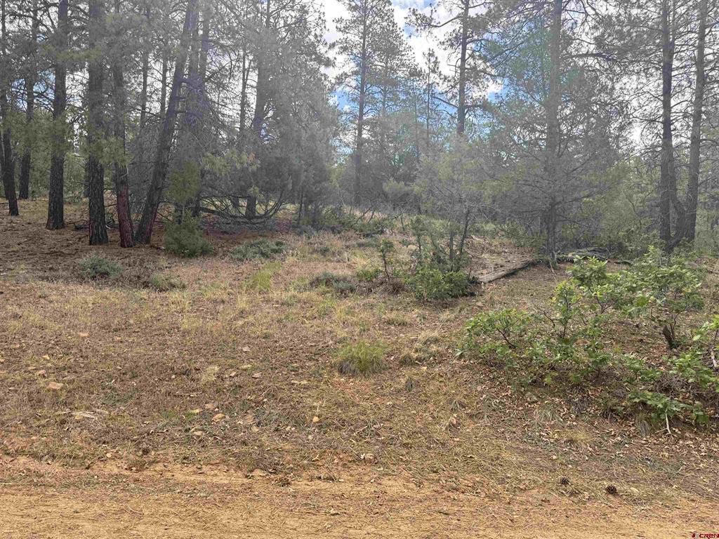 1259 Westview Road Pagosa Springs CO 81147