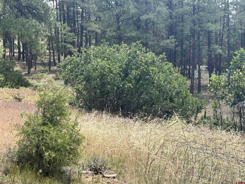 1259 Westview Road Pagosa Springs CO 81147