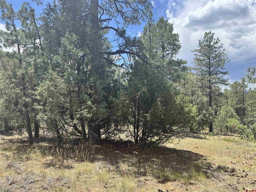 1259 Westview Road Pagosa Springs CO 81147