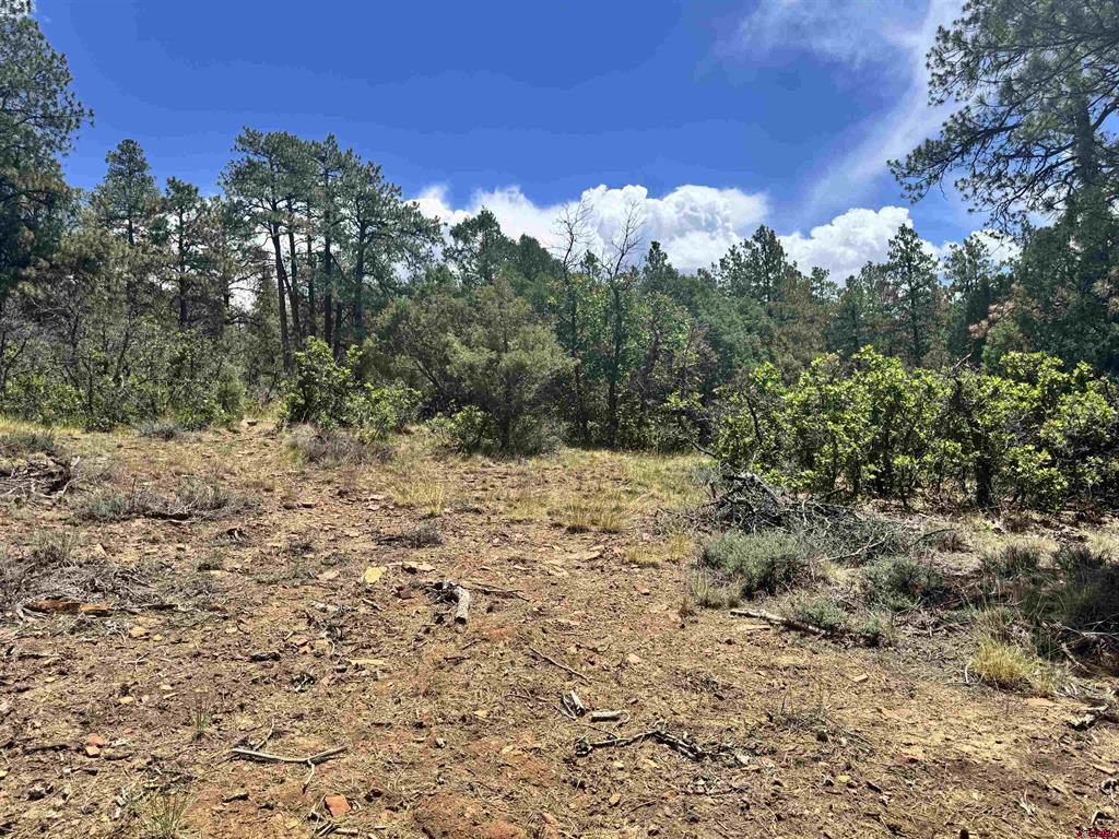 1259 Westview Road Pagosa Springs CO 81147