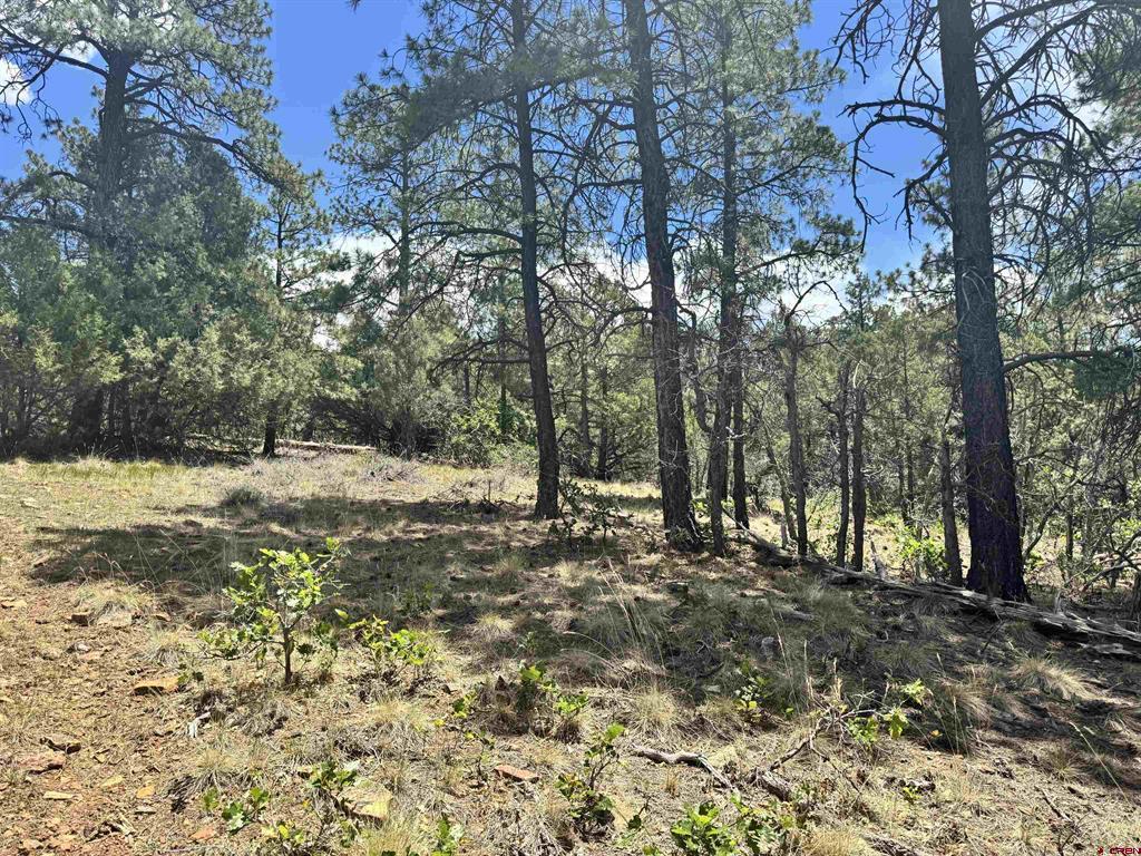 1259 Westview Road Pagosa Springs CO 81147