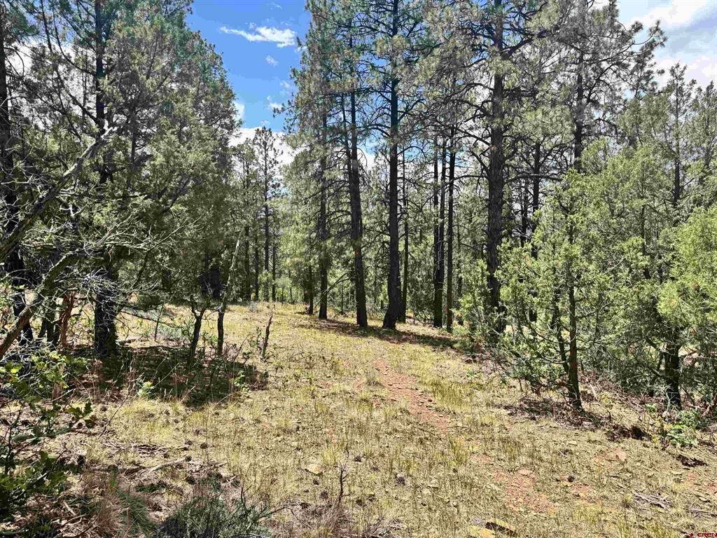 1259 Westview Road Pagosa Springs CO 81147