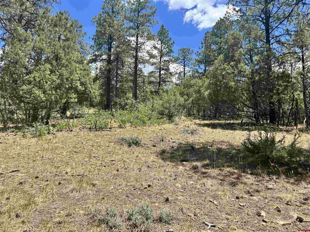 1259 Westview Road Pagosa Springs CO 81147