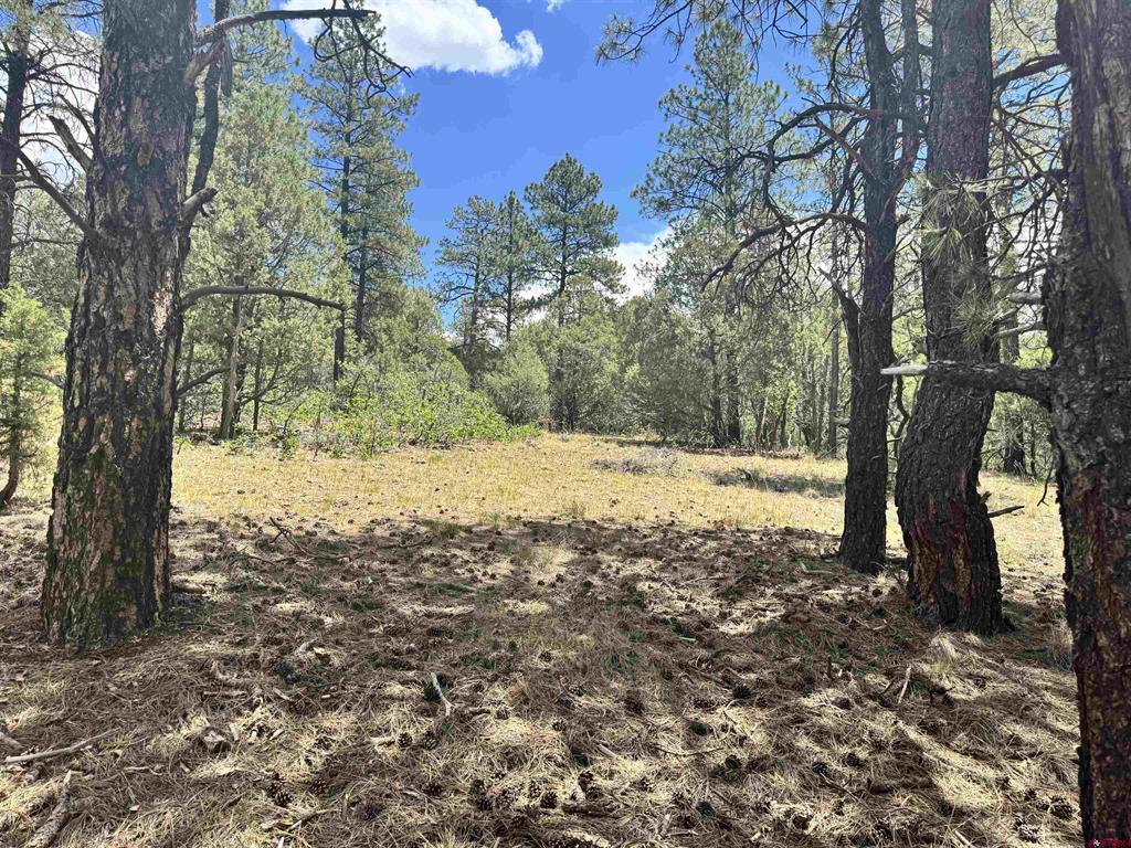 1259 Westview Road Pagosa Springs CO 81147