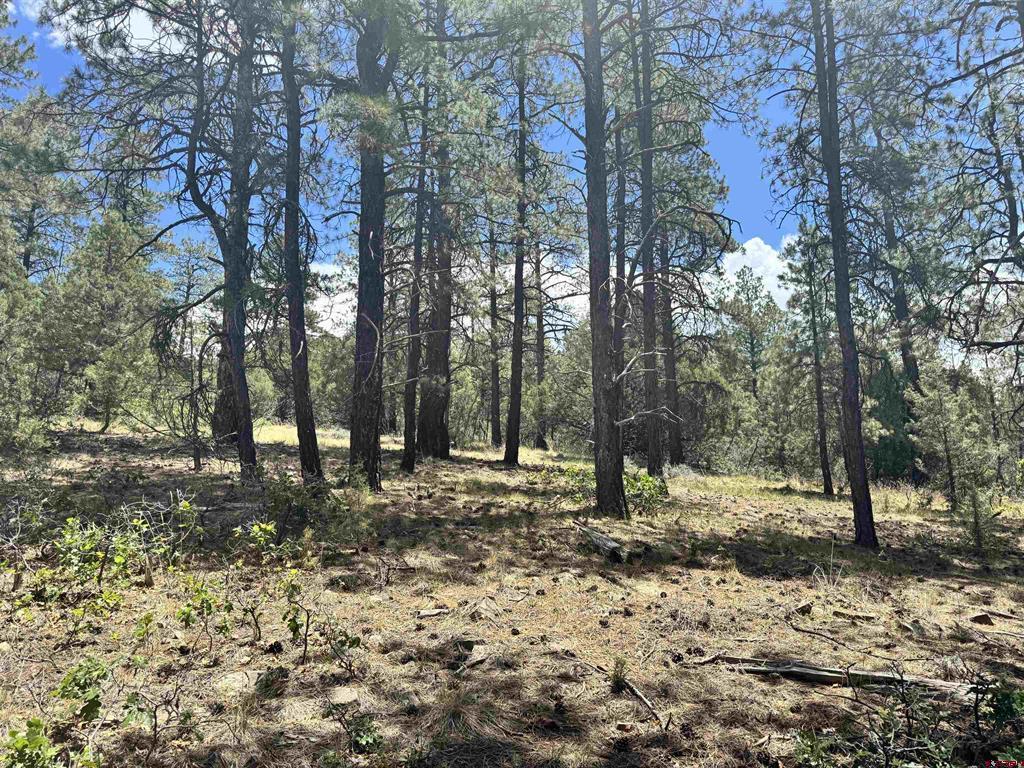 1259 Westview Road Pagosa Springs CO 81147