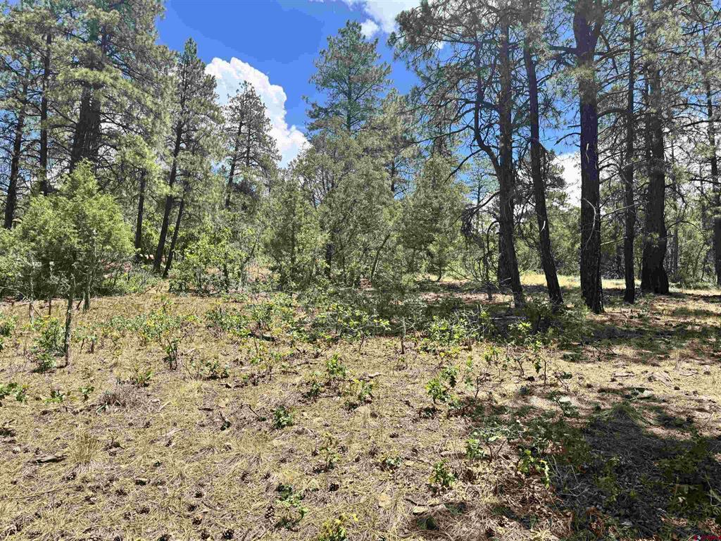 1259 Westview Road Pagosa Springs CO 81147